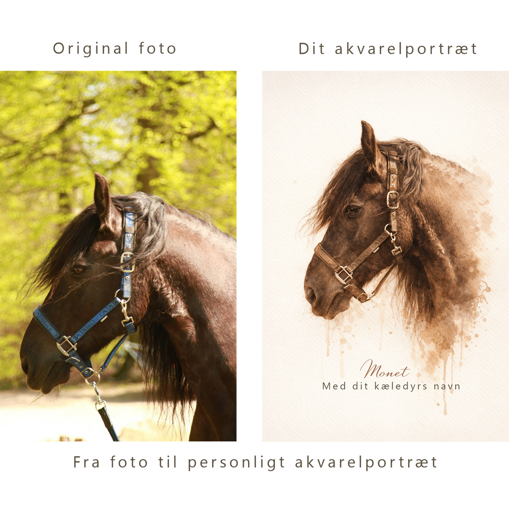 Kæledyrsportræt i akvarel