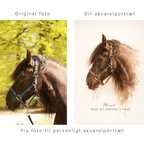 Kæledyrsportræt i akvarel