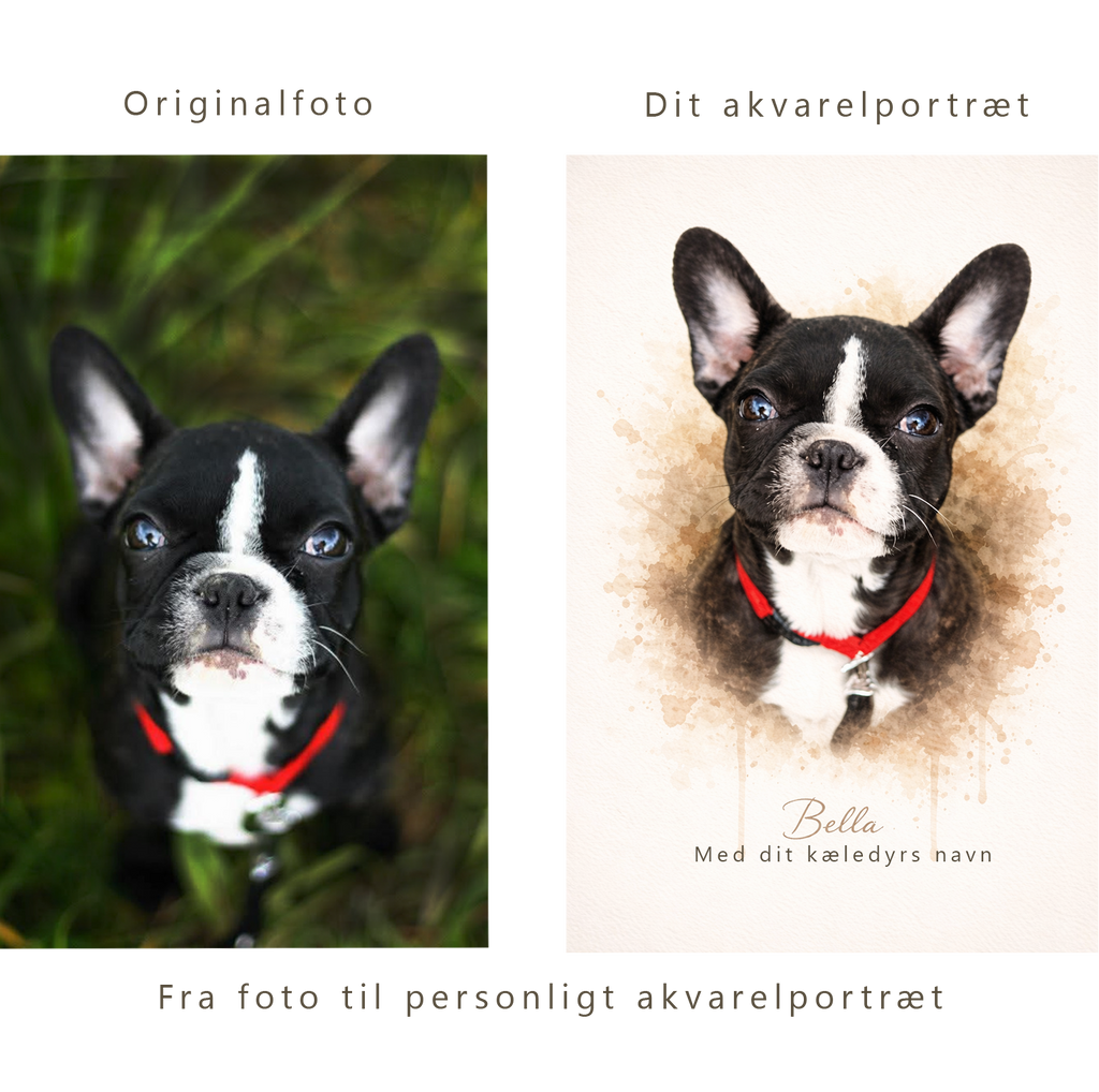 Kæledyrsportræt i akvarel