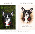 Kæledyrsportræt i akvarel